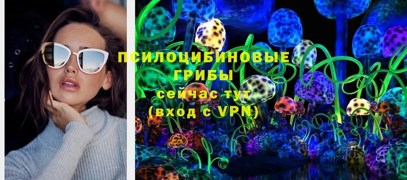 купить наркотик  площадка клад  Галлюциногенные грибы Psilocybine cubensis  Астрахань 